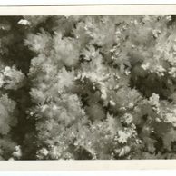 D 43170 - Zbrašovské jeskyně u Hranic 