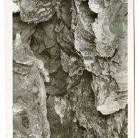 D 43173 - Zbrašovské jeskyně u Hranic 