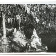 D 43192 - Sloupsko-Šošůvské jeskyně 