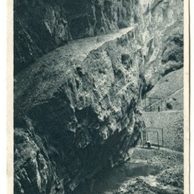 D 43195 - Moravský kras 