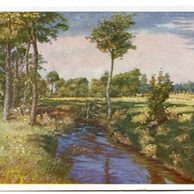 C 43283 - B. Hradečný