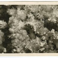 D 43310 - Zbrašovské jeskyně u Hranic 