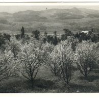 D 43339 - Boletice nad Labem 
