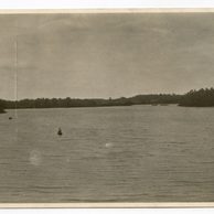 Ostatní cizina - 43512