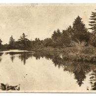 Ostatní cizina - 43513