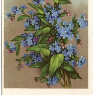 C 43519 - Srdečné blahopřání k narozeninám