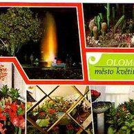 F 43733 - Olomouc (Olmütz)2 