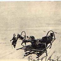 E 43784 - J. Zápeca - Setkání v stepi v zimě