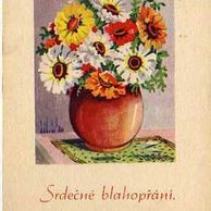 C 43863 - Srdečné blahopřání 