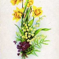 C 43867 - Srdečné přání