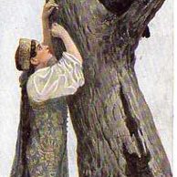 A 43906 - Feldpost+,,Reich" razítka 