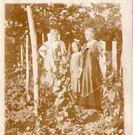 D 43984 - Feldpost+,,Reich" razítka 