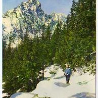 Vysoké Tatry - 44248