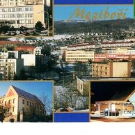 F 54150 - Meziboří