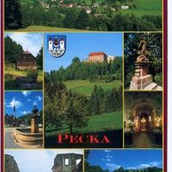 F 54163 - Pecka