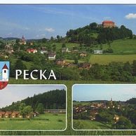 F 54199 - Pecka