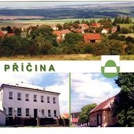 F 54216 - Příčina