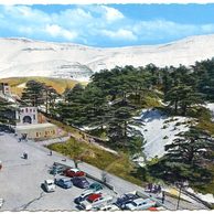 Ostatní cizina - 54440