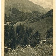 Ostatní cizina - 54455