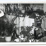 Staré fotografie - 54558