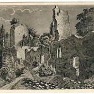 D 54665 - Choustník 