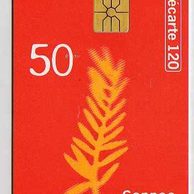 Telefon.karta č.100