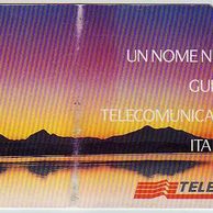 Telefon.karta č.133