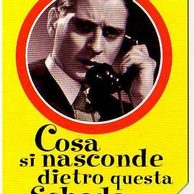 Telefon.karta č.136