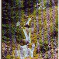 Telefon.karta č.184