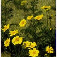 Telefon.karta č.196