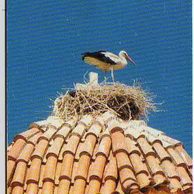 Telefon.karta č.198