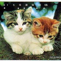 Telefon.karta č.269