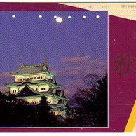 Telefon.karta č.271