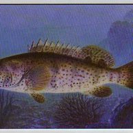 Telefon.karta č.280