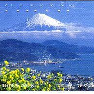 Telefon.karta č.295