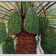 Telefon.karta č.296