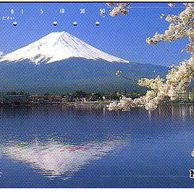 Telefon.karta č.315