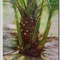 Telefon.karta č.320