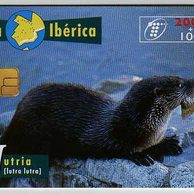 Telefon.karta č.376