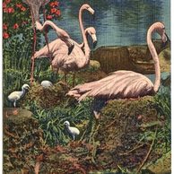 A 54821 - Příroda (flora a fauna) 2 