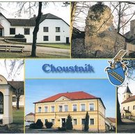 F 54843 - Choustník