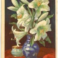 C 54848 - Adolf Körber