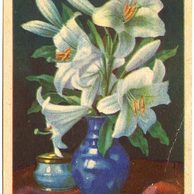 C 54849 - Adolf Körber