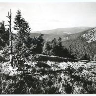 E 54948 - Jeseníky2 