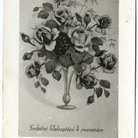 D 55156 - Srdečné blahopřání k jmeninám