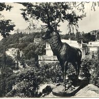 E 55184 - Karlovy Vary 6