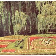 F 55270 - Poděbrady