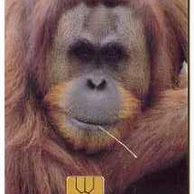 Telefon.karta/ČR/ č.12