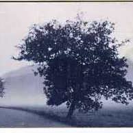 Telefon.karta/ČR/ č.44