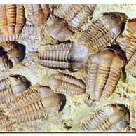 Telefon.karta/ČR/ č.94